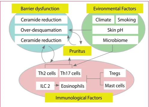 Figure 7: Interplay among contributing factors and pruritus in the pathogenesis of AD15