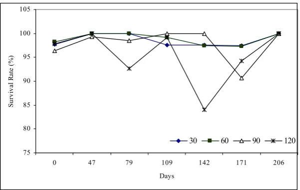 Figure 3. Specific growth rate of turbot held at four different stocking density. 