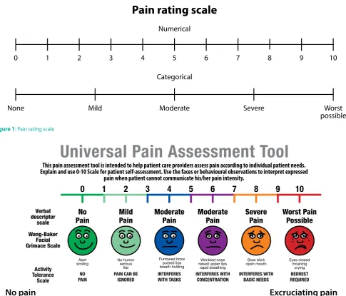 Figure 1: Pain rating scale