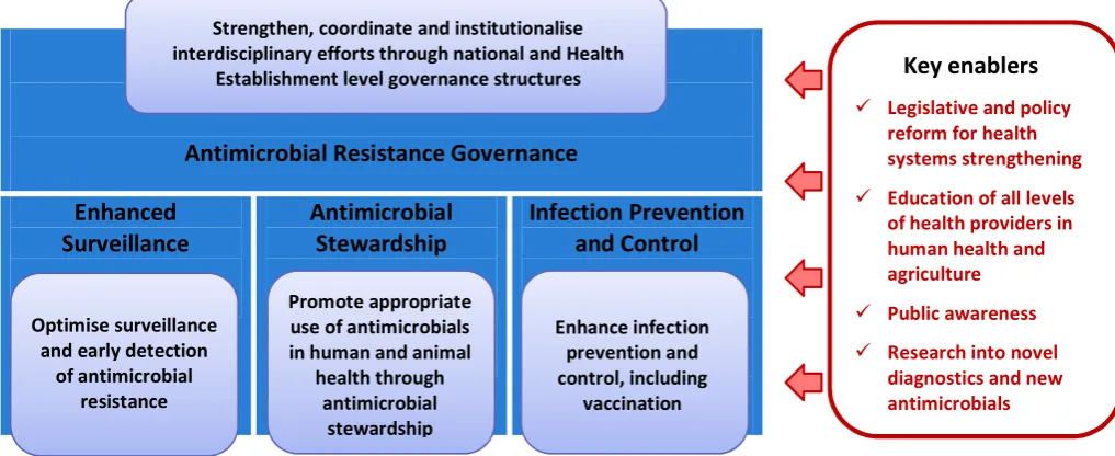 Figure 1.Figure 1. Strategic framework for the antimicrobial resistance national strategy Strategic framework for the antimicrobial resistance national strategy13,20