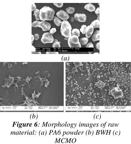 Figure 6: Morphology images of raw material: (a) PA6 powder (b) BWH (c) MCMO 