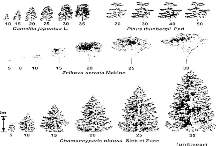 Figure 1: Examples of plant images in the database, (source: Honjo and Lim, 2001) 