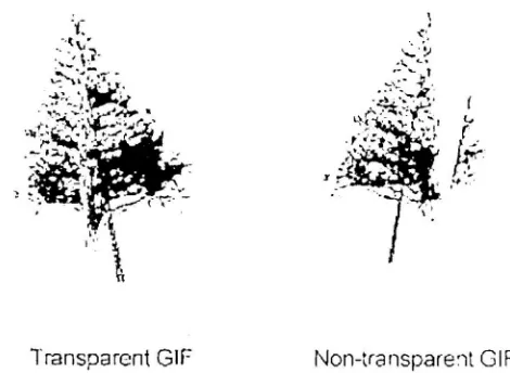 Figure 3: Example of trees images made by two textured planes with transparent GIF and non-transparent GIF