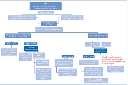 Figure 1. Algorithm for the management and treatment of SAMS, as adapted18,23
