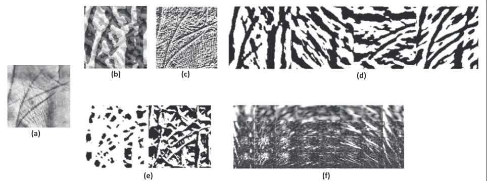 Fig. 5 Illustration of a palmprint sample, b BSIF (17 X 17, 8 bit), c LBP, d palmcode, e fusion code, f Log-Gabor (LG) transform