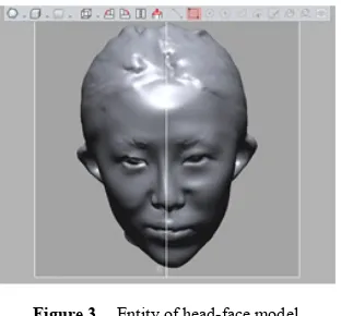 Figure 3.  Entity of head-face model 
