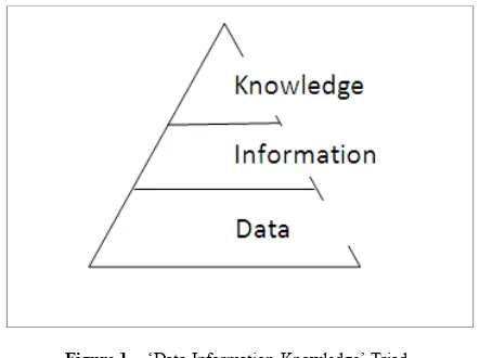 Figure 1.  ‘Data-Information-Knowledge’ Triad 