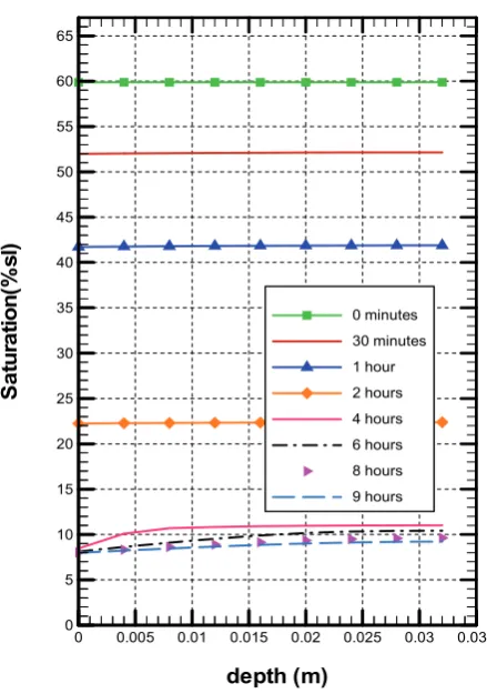Figure 2:  Saturation variation along the depth. 