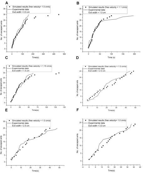 Figure 4.  The simulated results for two exit widths. The temporal evolution of the number of ants escaping through the exit according to our model agrees with that of the experimental data, and the model estimates free speed in the evacuation experiment