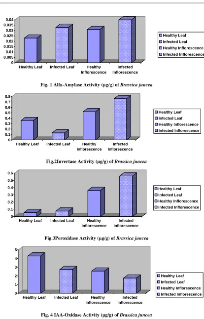 Fig.2Invertase Activity (µg/g) of Brassica juncea