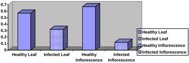 Fig. 5 Ascorbic Acid Oxidase Activity (µg/g) of Brassica juncea  