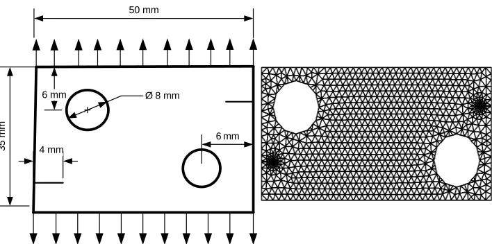 FIGURE 3 Problem statement and the final mesh of the initial crack for the double edge cracked plate with two holes 