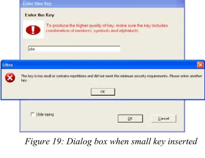 Figure 19: Dialog box when small key inserted 