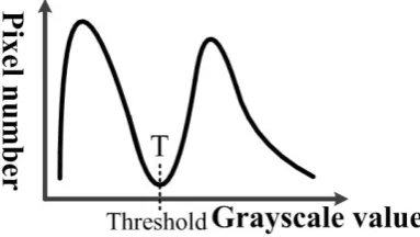 Figure 1.  Grayscale-level histogram 