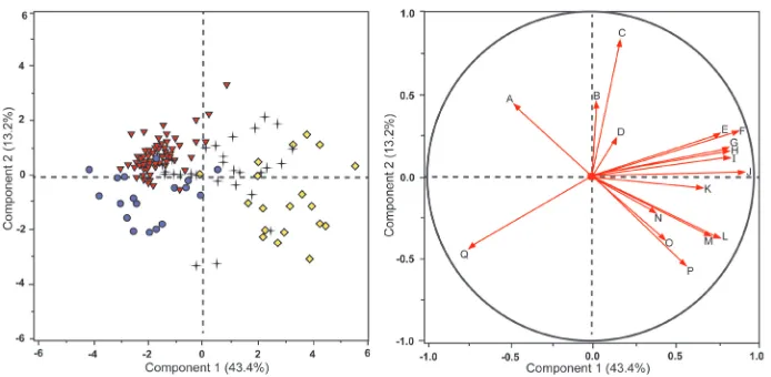 Figure 1. Principal components analysis score plot (Fig.1a, left) and loading plot (Fig