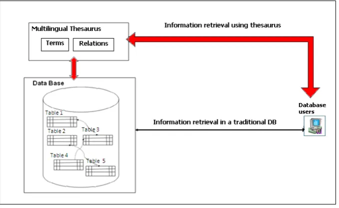 Figure 3.  Information retrieval through a traditional DB and a multilingual thesaurus 
