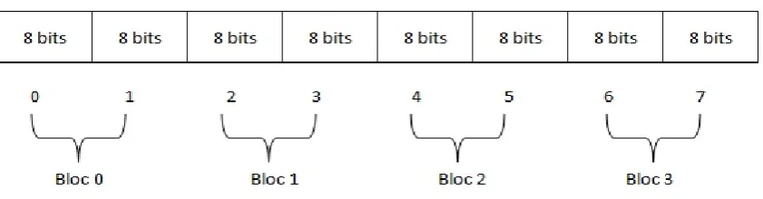 Figure 1.  IMSI blocks 