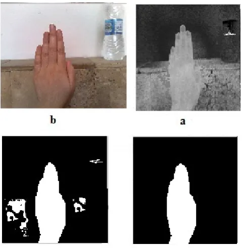 Figure 3.  (a): original image, (b): skin probability image, (c): segmented hand after thresholding (d): the hand detected after morphology operations 