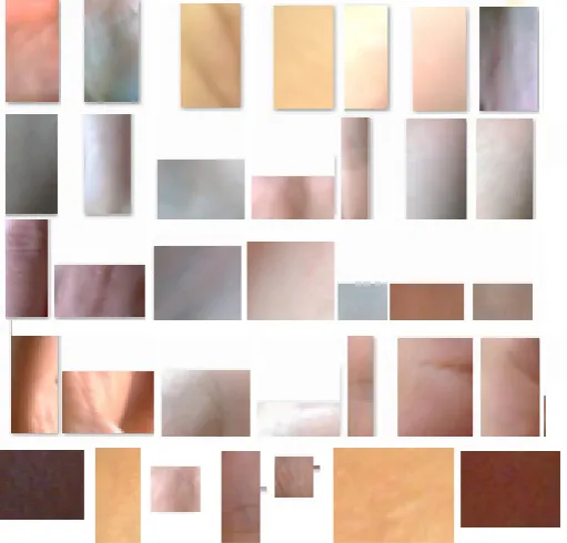 Figure 4.  some of postures images of the sign language with complex background and changing illumination