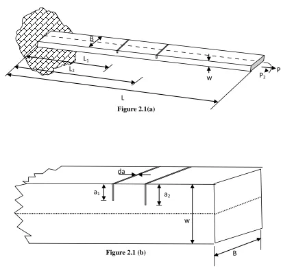 Figure 2.1(a) 