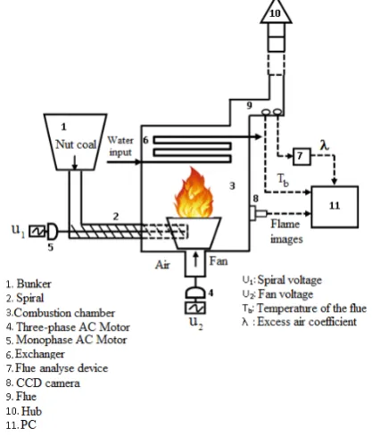 Figure 1.  Schematic representation of the experimental system 