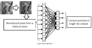 Figure 2: GSOM Architecture decompression 