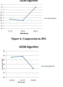 Figure 6: Compression in JPG 