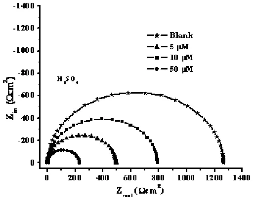 Fig . 5 Nyquist plots for zinc in  H2SO4 containing different  concentrations of inhibitor