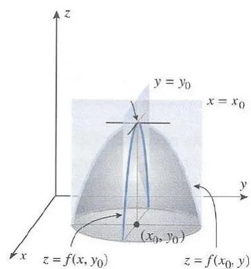 figure 3 we describe the properties of the local maximum 