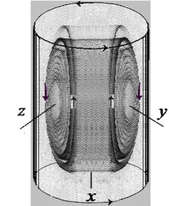 Figure 1.  The counter–flow vortex as a small tornado in the rotating rotor of the gas centrifuge
