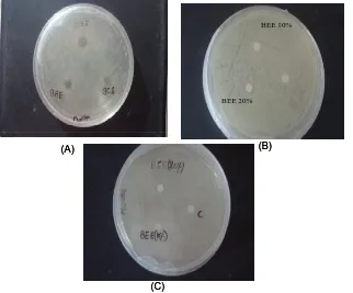 Figure 1 (A): Antimicrobial Activity of Banana Flower Ethanolic Extract (BEE), Banana Flower Chloroform extract (BCE), Banana Flower Aqueous extract (BAE)