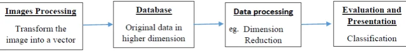 Figure 1: Basic steps of Face recognition procedure