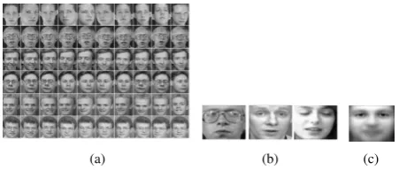 Figure 4: (a)-(c) Sample of original and cropped face images from Yale database. (d) Mean face of Yale database