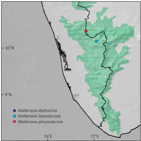 Figure 10. Distribution of species under Walkerana gen. nov. examined in the current study