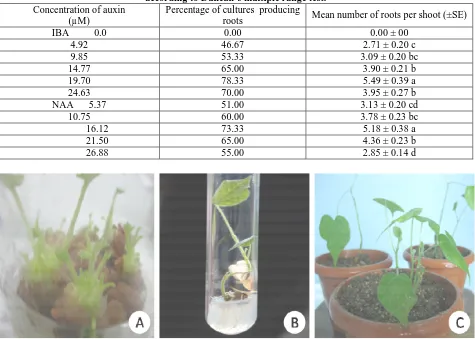 Table 2: Effect of different auxins on adventitious rooting of shoots of Sterculia urensMeans within a column followed by the same letter are not significantly different from each other at  after 8 - 10 weeks