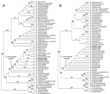 Figure 1. Maximum likelihood phylogenies of Sabulina. A Cladogram of the ITS dataset B Cladogram of the trnQ-rps16 dataset