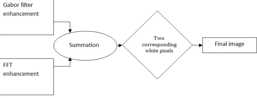 Figure 5.  Block diagram for the combination of the results of the two enhancement processes 