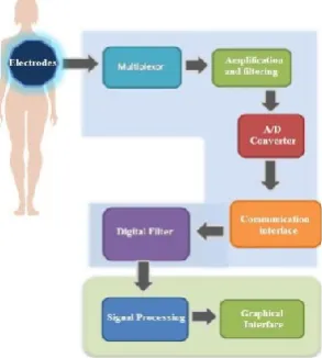 Fig. 7 Twenty-four electrode arrangement to measure the  potential difference of epithelial breast