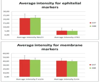 Figure 5.  Scatter plots comparing the distributions of values obtained for the different primary antibodies