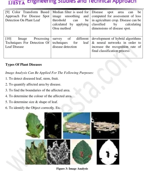 Figure 3: Image Analysis 