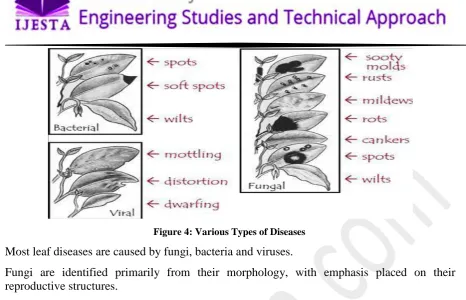Figure 4: Various Types of Diseases 