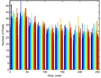 Fig. 7.  (A) Encrypted image using CCM-based algorithm. 