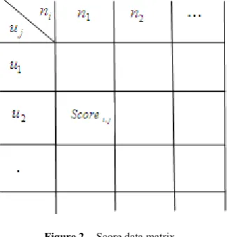 Figure 2.  Score data matrix 