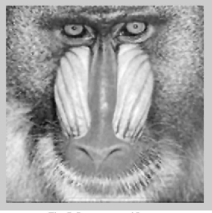 Fig. 7. Reconstructed Image 