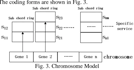 Fig. 3. Chromosome Model 