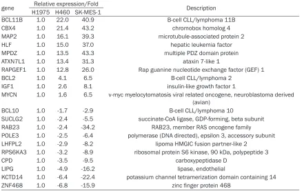 Table 2. The most significantly differentially-expressed genes in 3 NSCLC cell lines