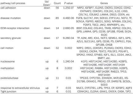 Figure 2. GSEA of genes highly expressed in gemcitabine sensitive cell lines and resistant cell line, respectively, according to pathway/cell process using online software DAVID 6.7