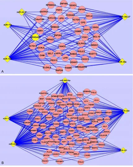 Figure 5. MiRs-genes network. Genes whose expression was putatively mediated by more than or equal to 2 miRs figure