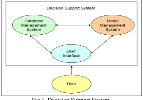 Fig.1. Decision Support System. 