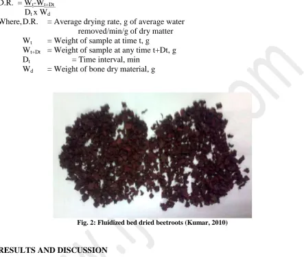 Fig. 2: Fluidized bed dried beetroots (Kumar, 2010)  